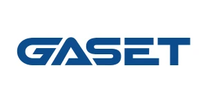  GSE